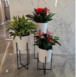 中關村綠植租擺公司中關村花卉租賃中關村綠植花卉租擺